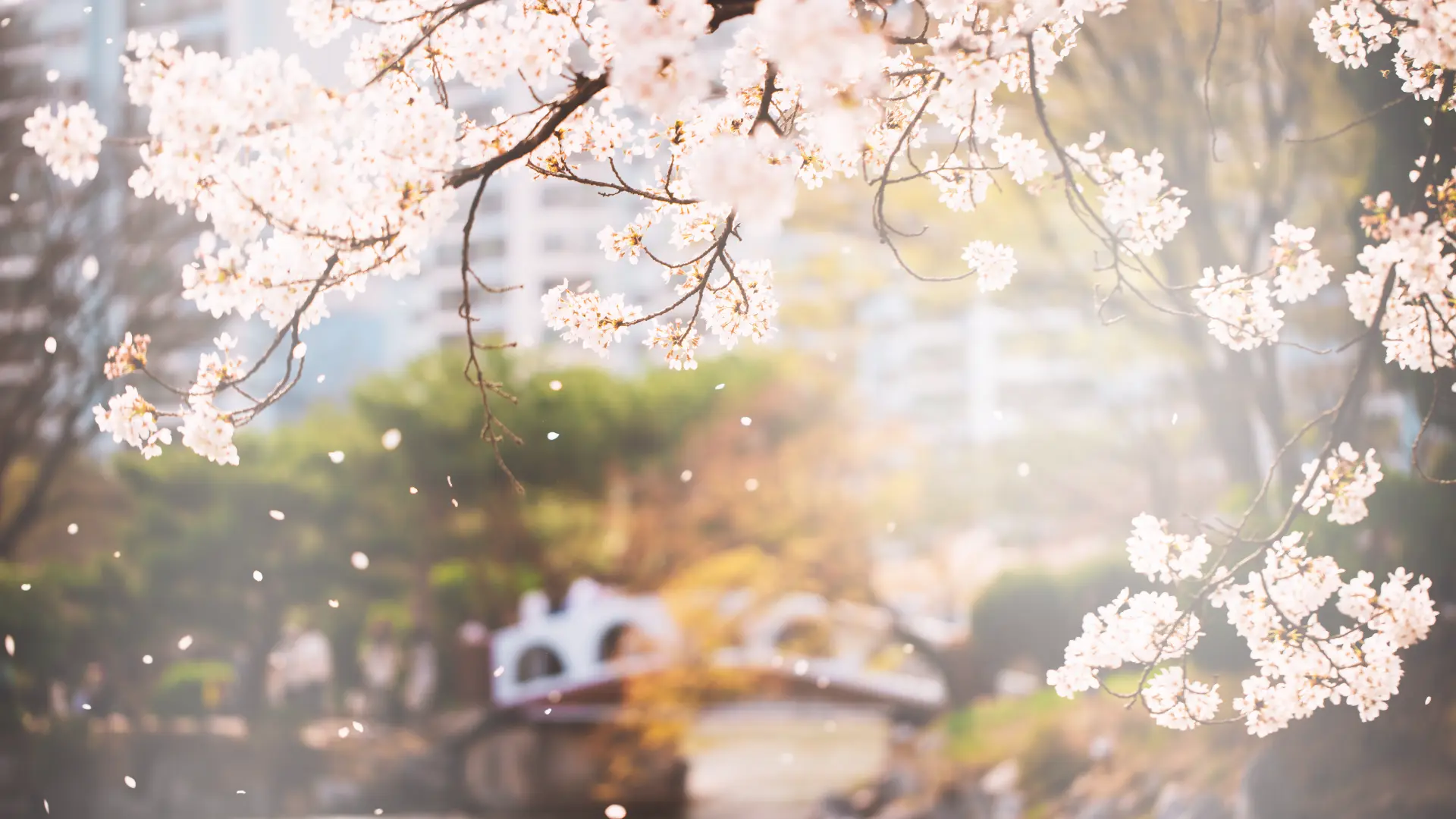 韓國樂天世界塔｜精緻城市旅行