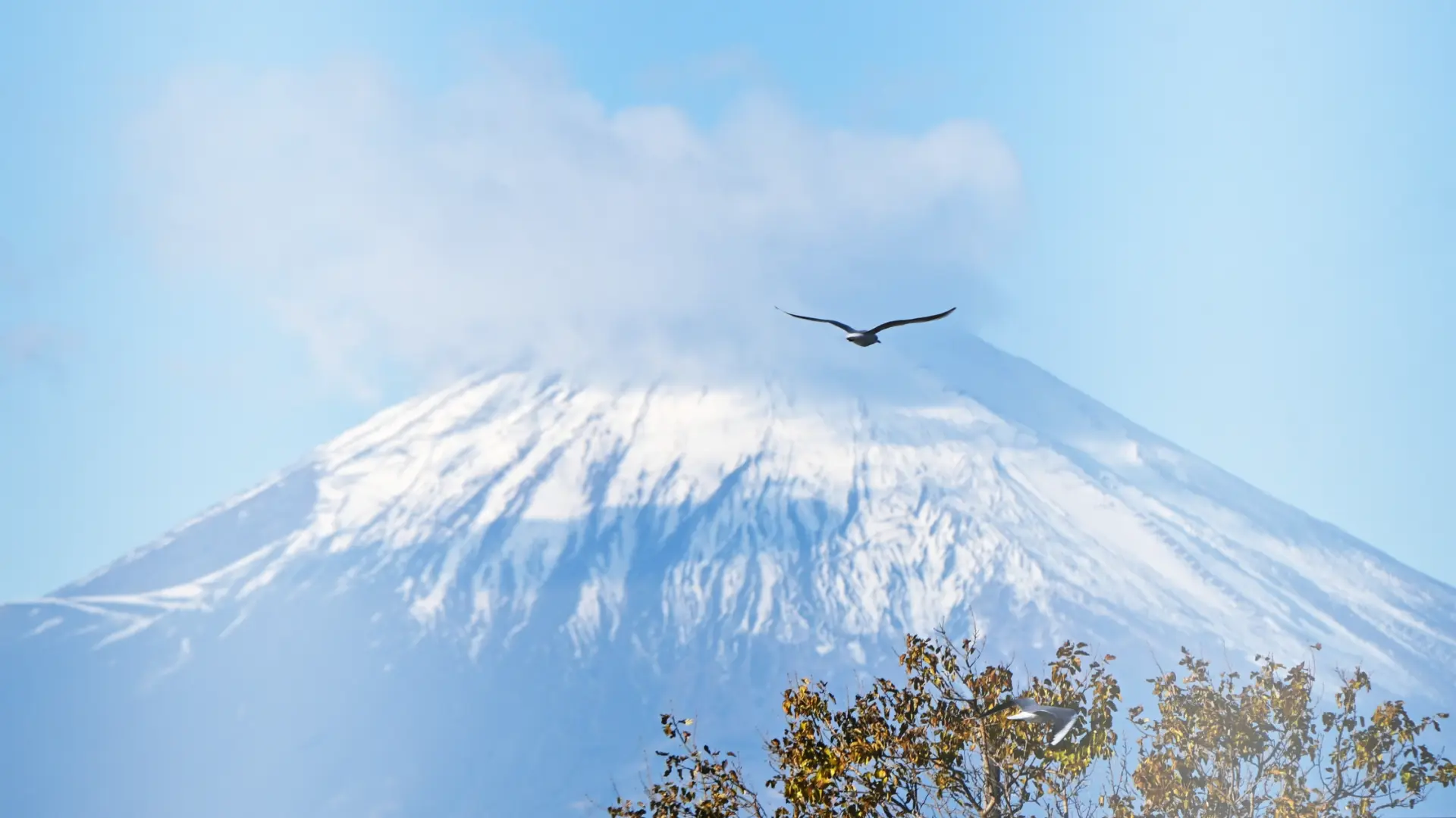日韓精緻旅遊｜客製化行程規劃